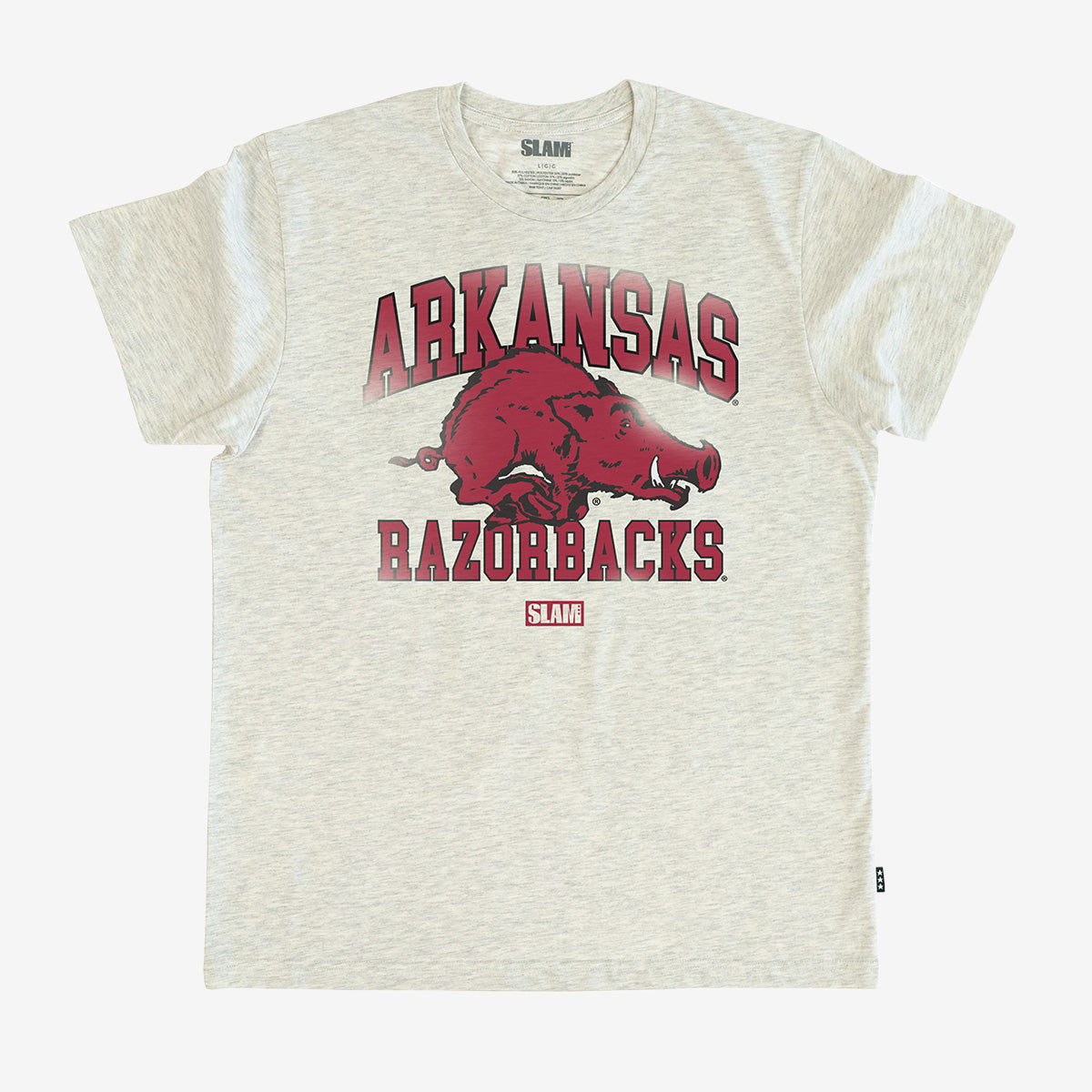 Arkansas Campus Heritage Tee