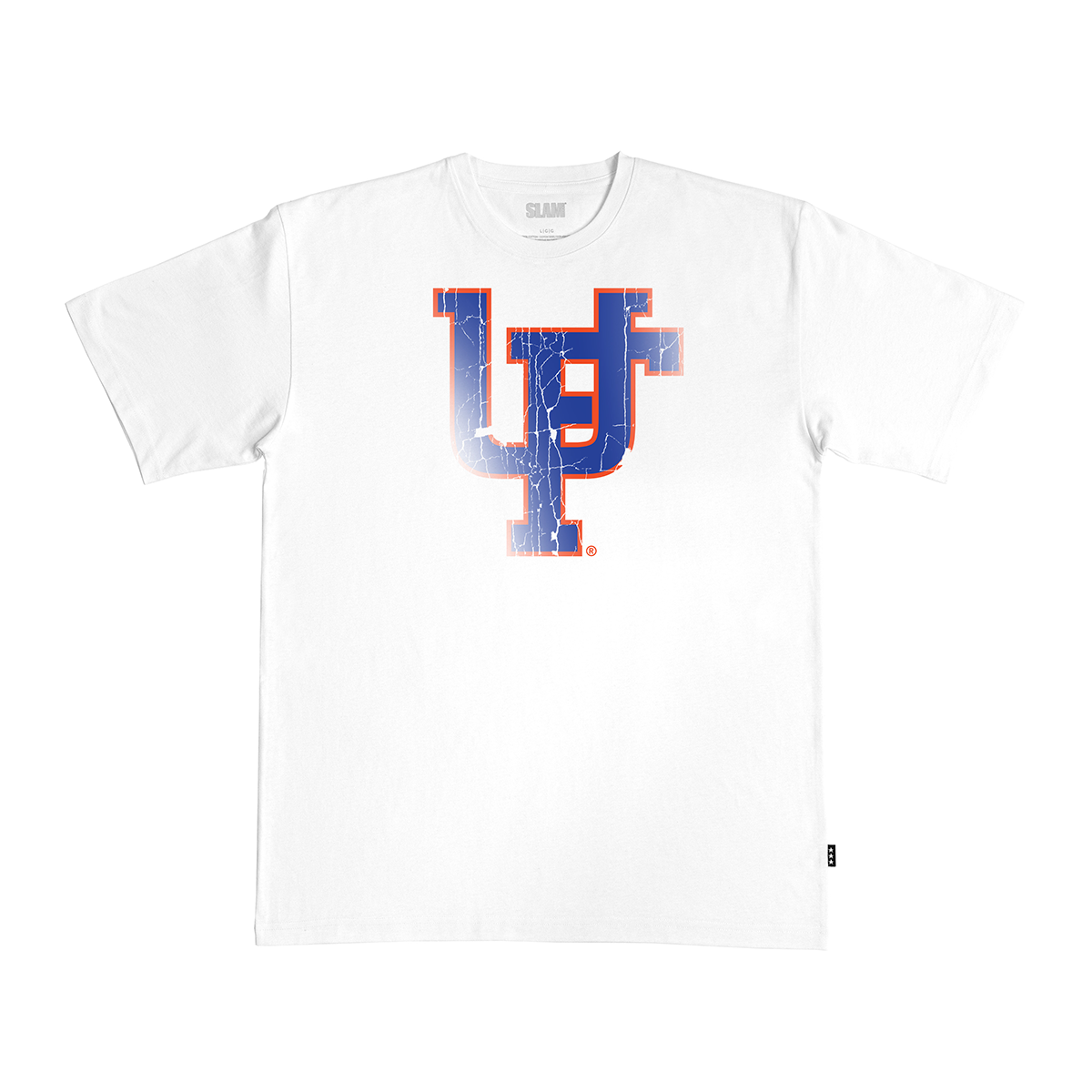Florida Logo Heavy Tee