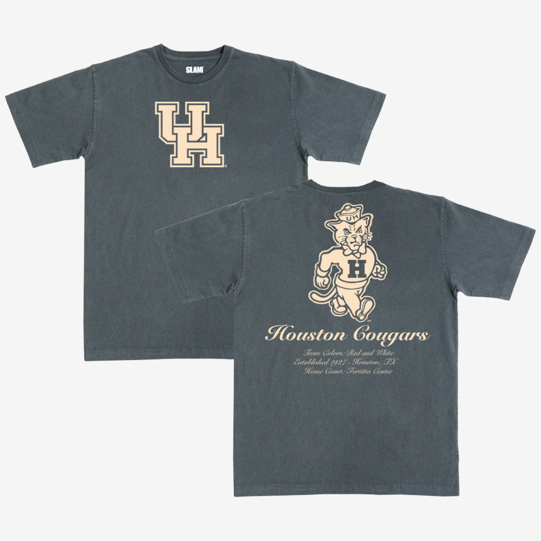 Houston Monochromatic Heavy Tee