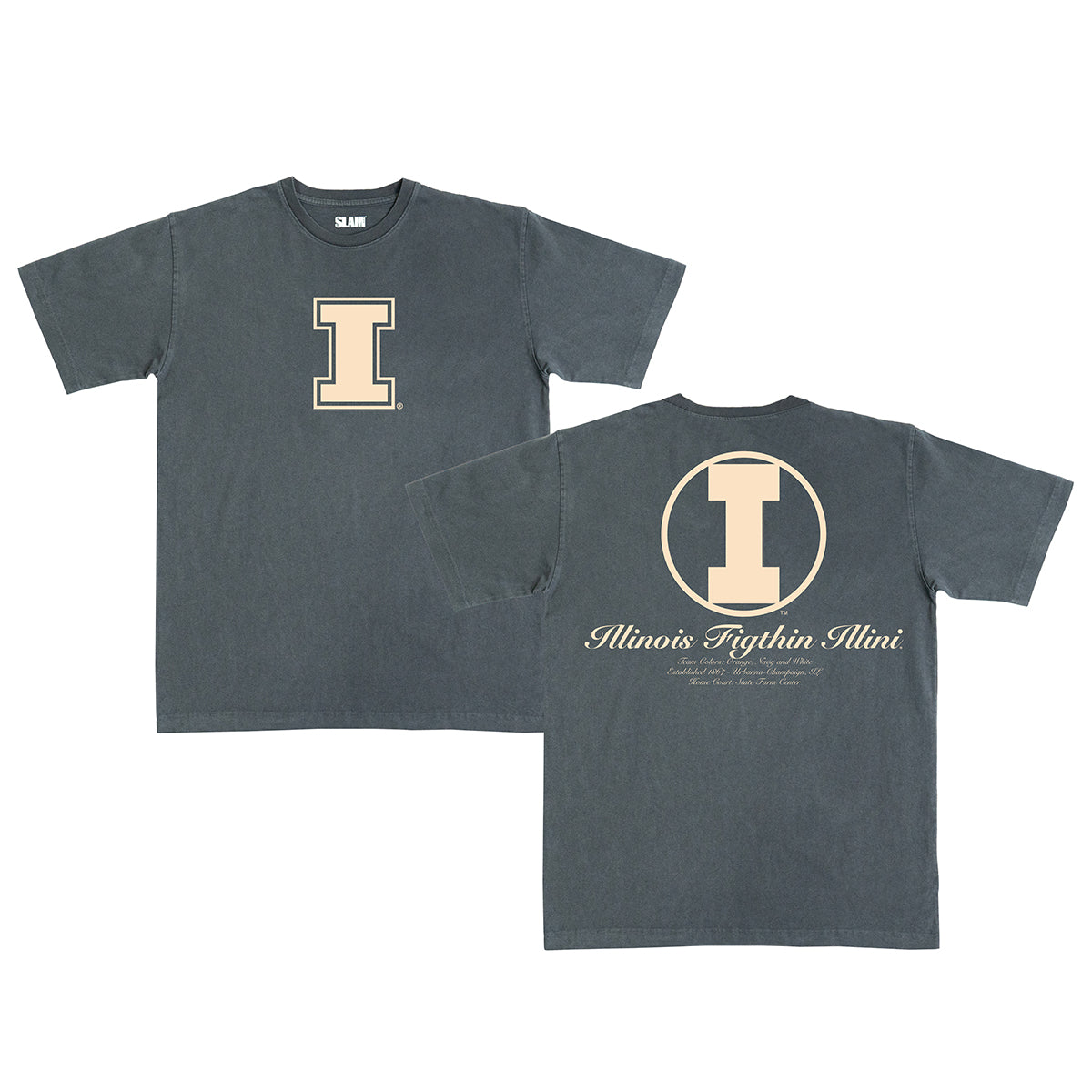 Illinois Monochromatic Heavy Tee