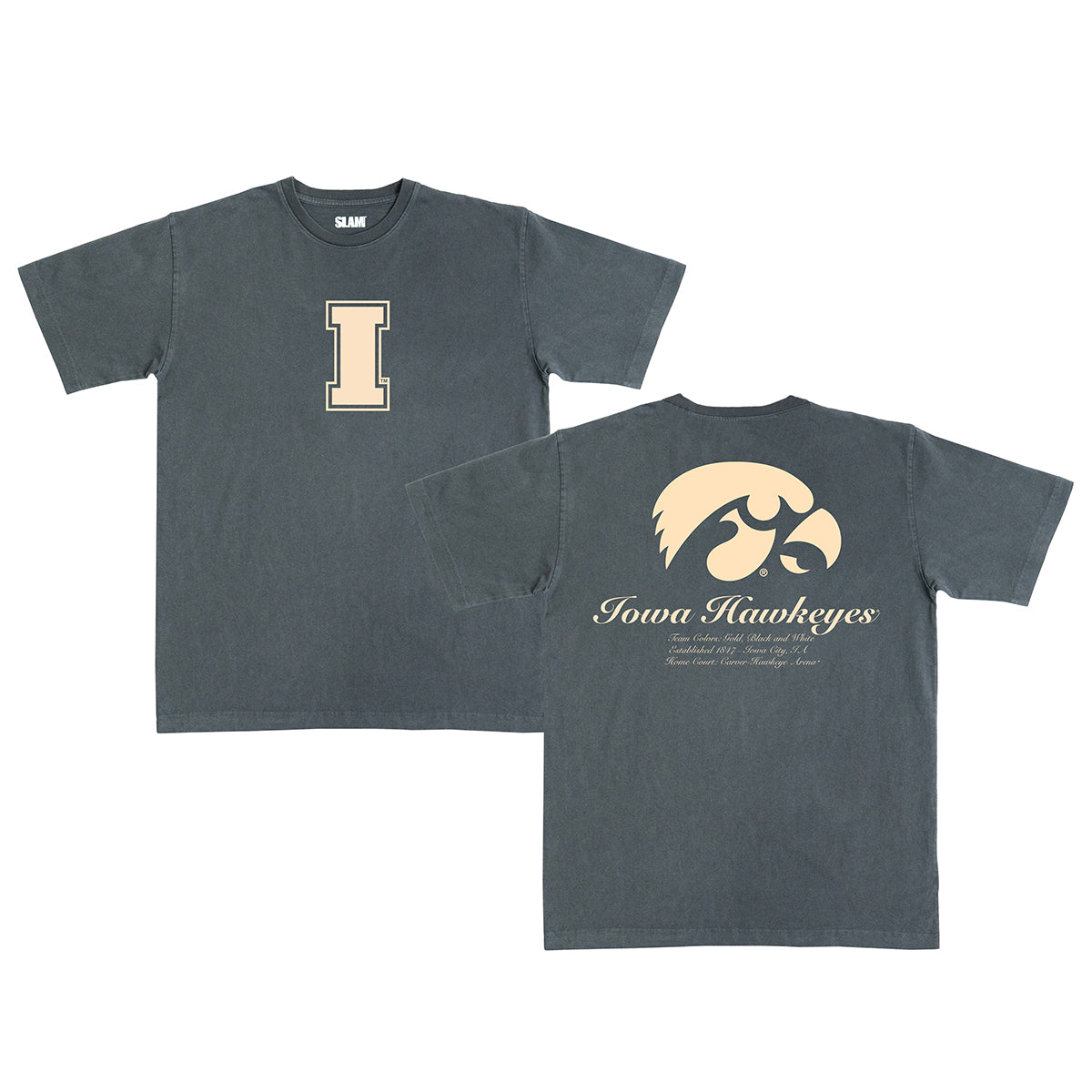Iowa Monochromatic Heavy Tee