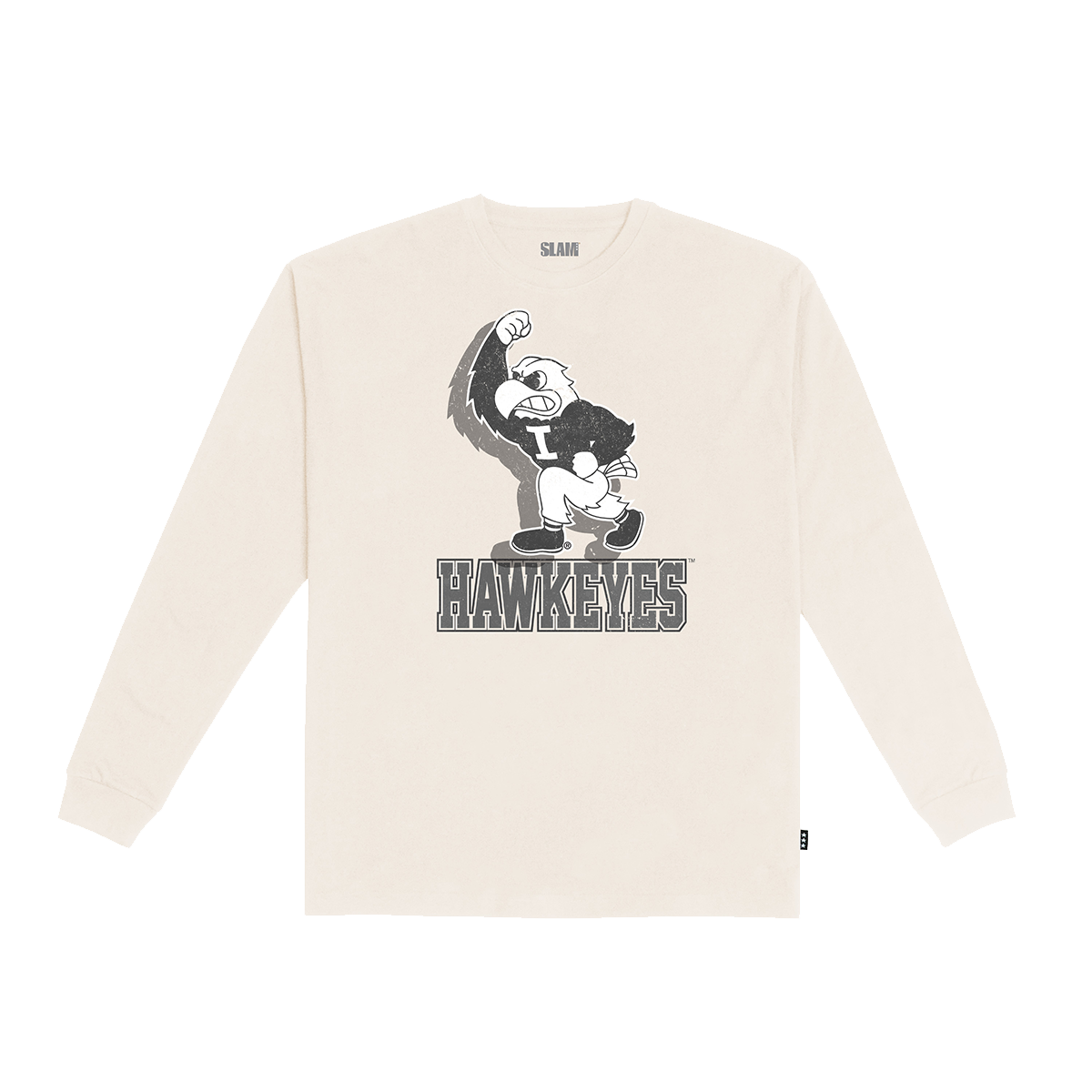 Iowa Monochromatic L/S Tee