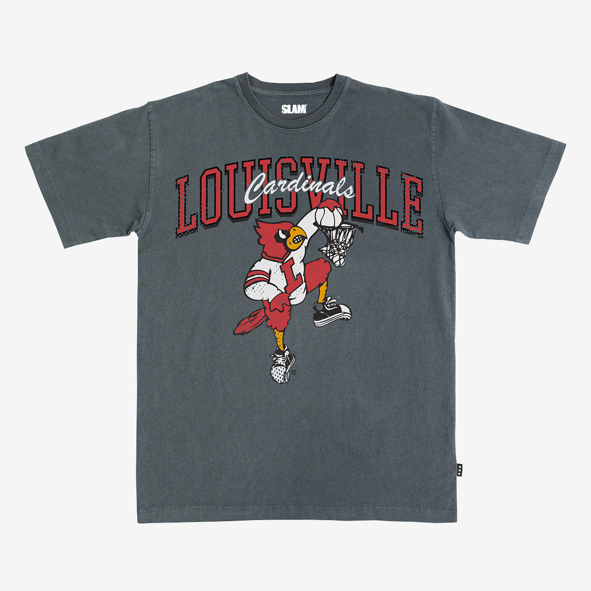 Louisville Alma Mater Heavy Tee