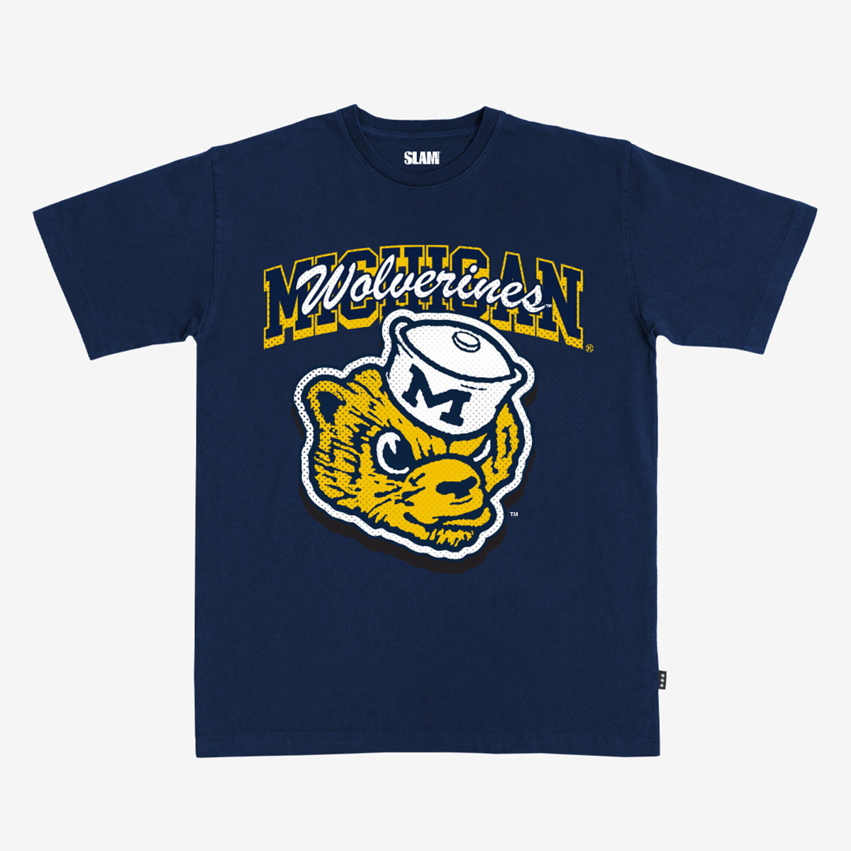 Michigan Alma Mater Heavy Tee