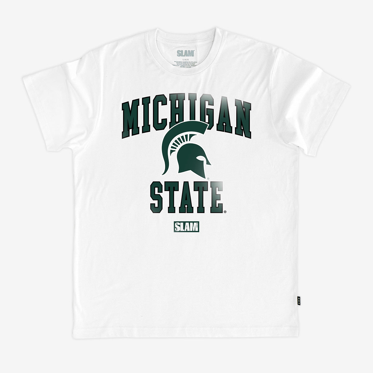 Michigan State Campus Heritage Tee