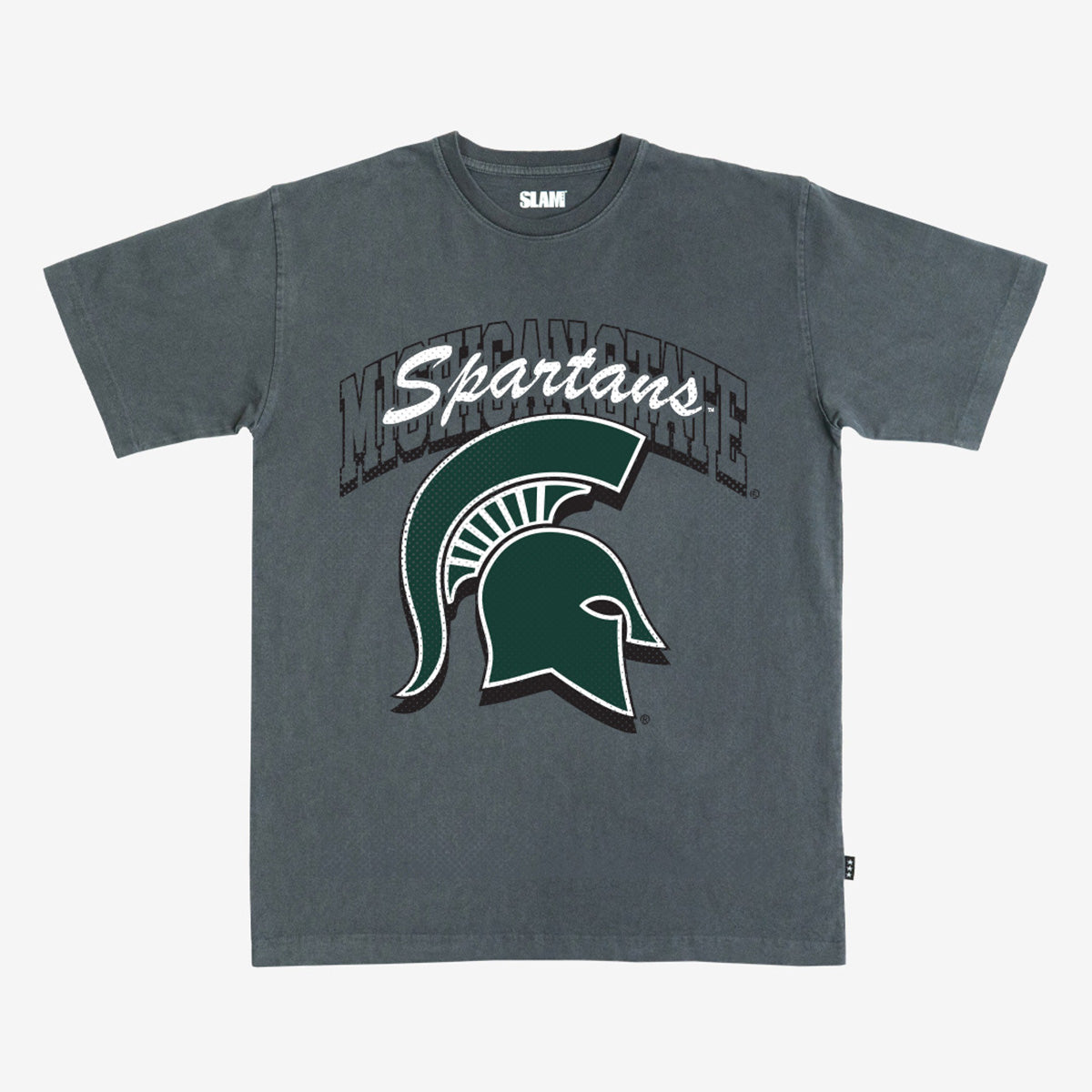Michigan State Alma Mater Heavy Tee