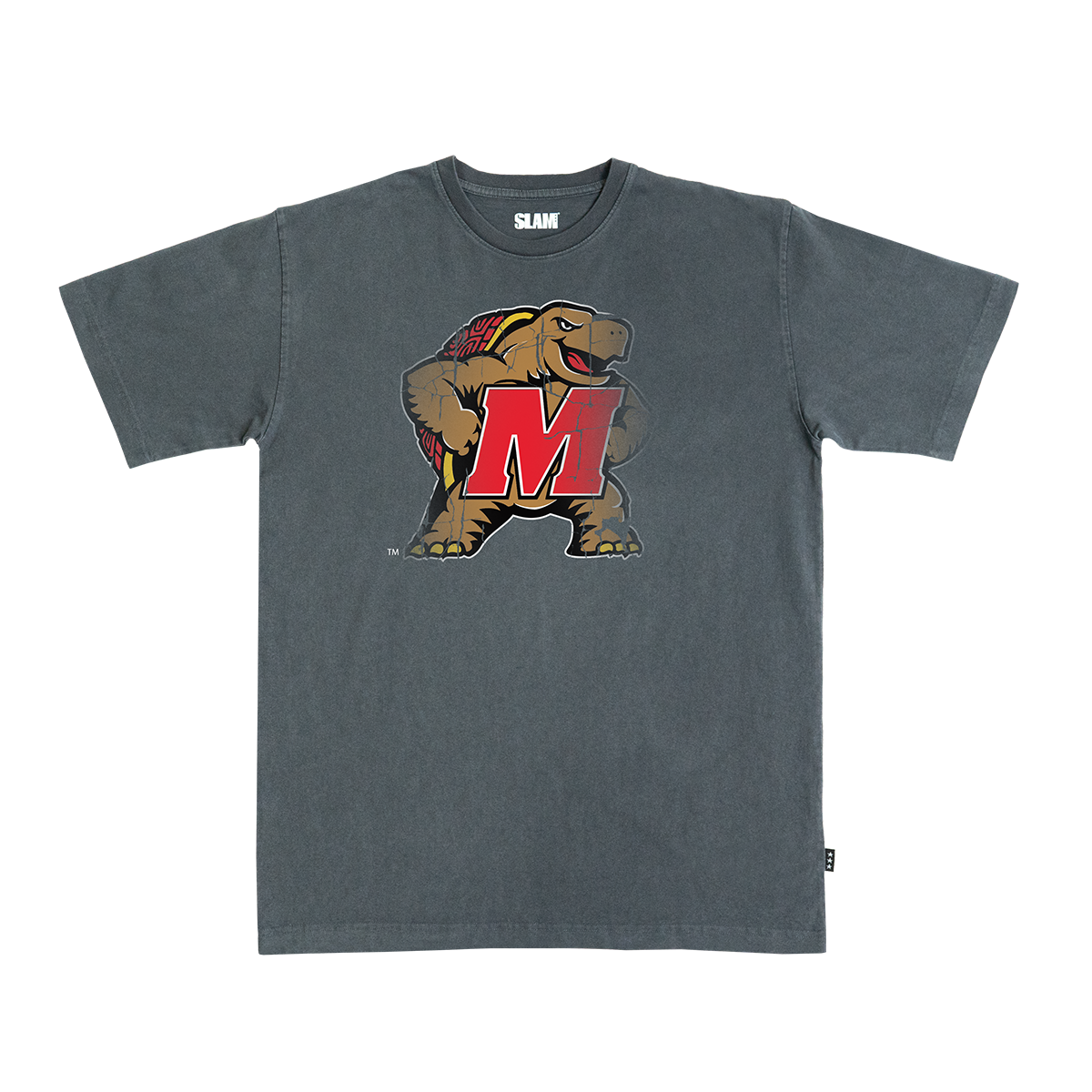 Maryland Logo Heavy Tee