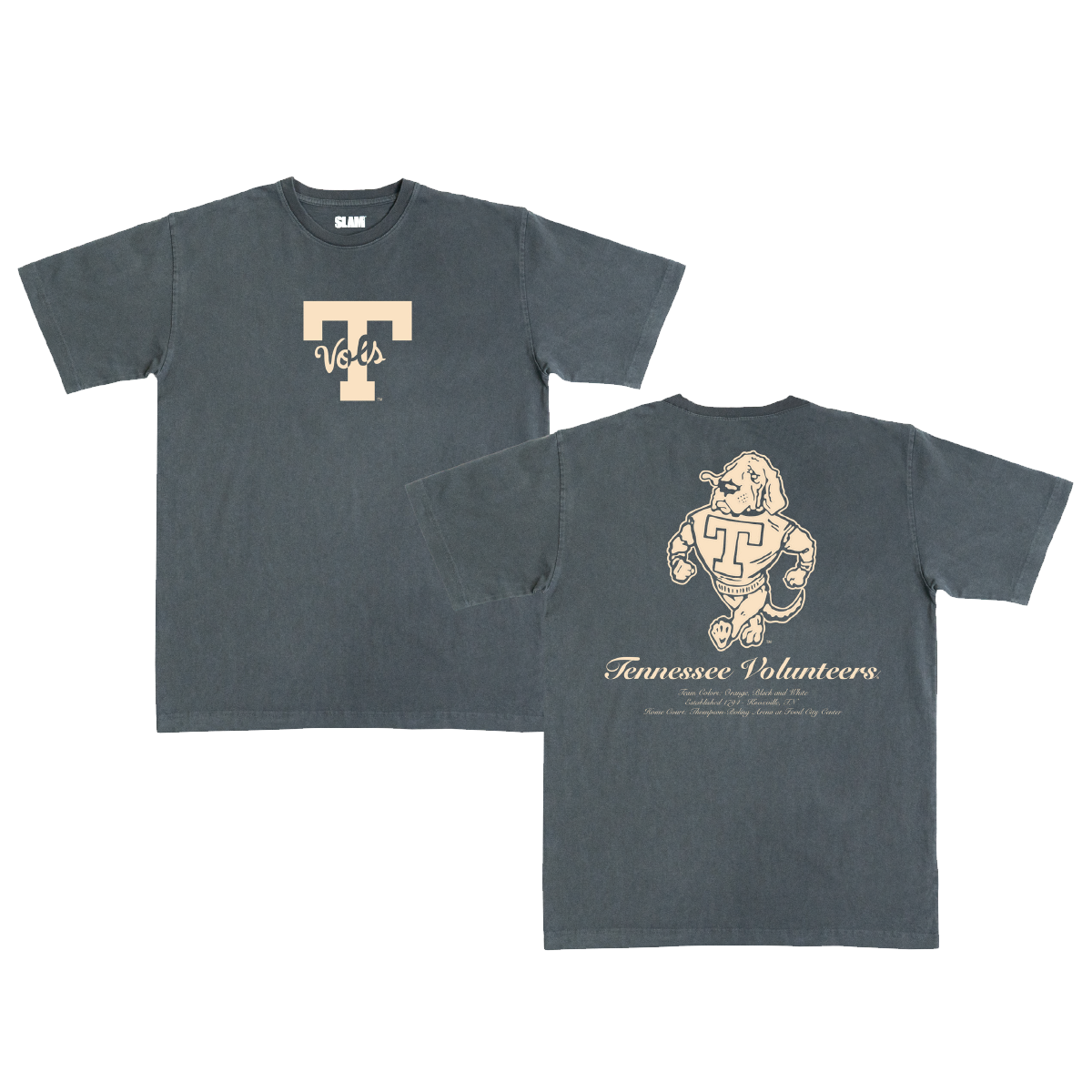 Tennessee Monochromatic Heavy Tee