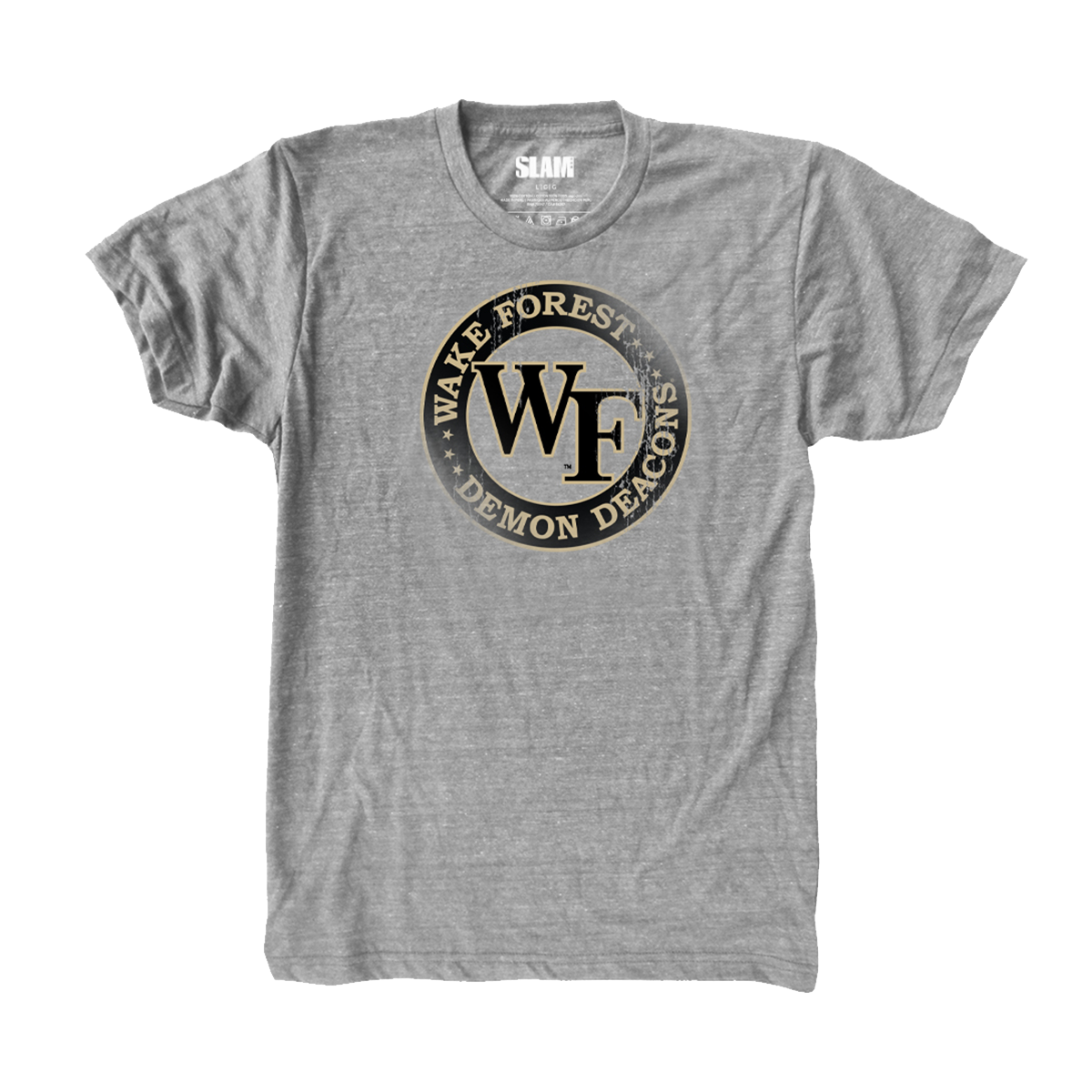 Wake Forest Circle Vintage T
