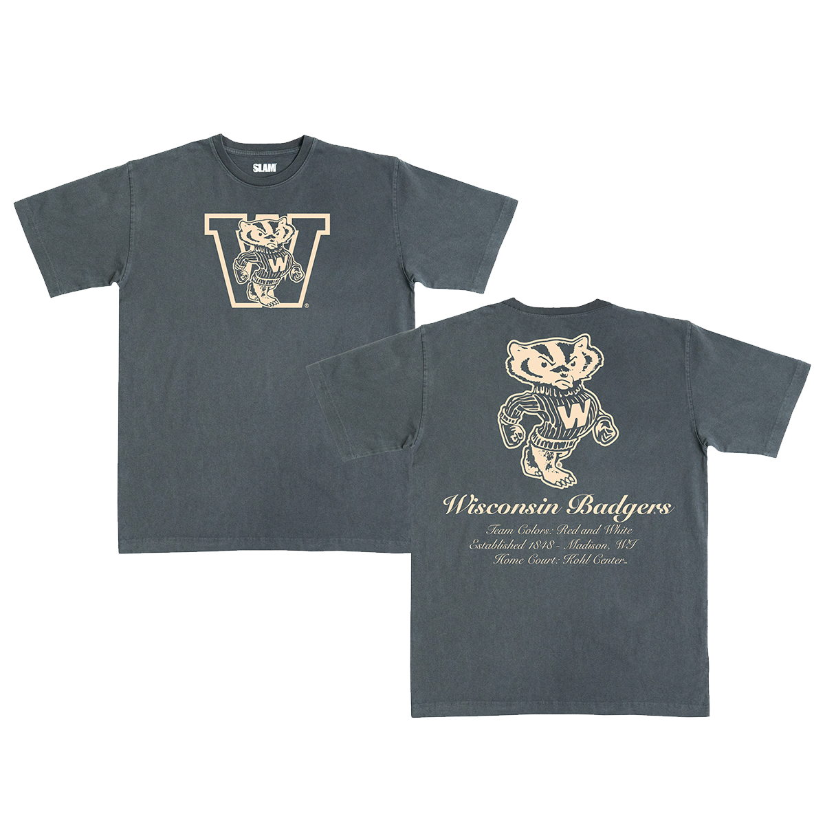 Wisconsin Monochromatic Heavy Tee