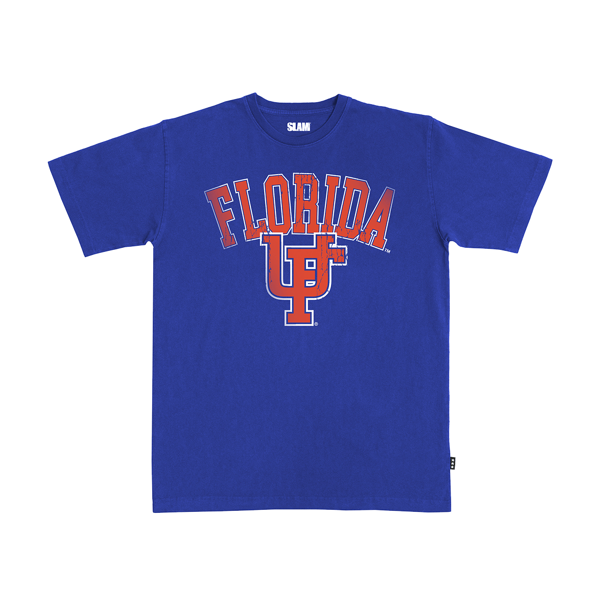 Florida Big Logo Heavy Tee