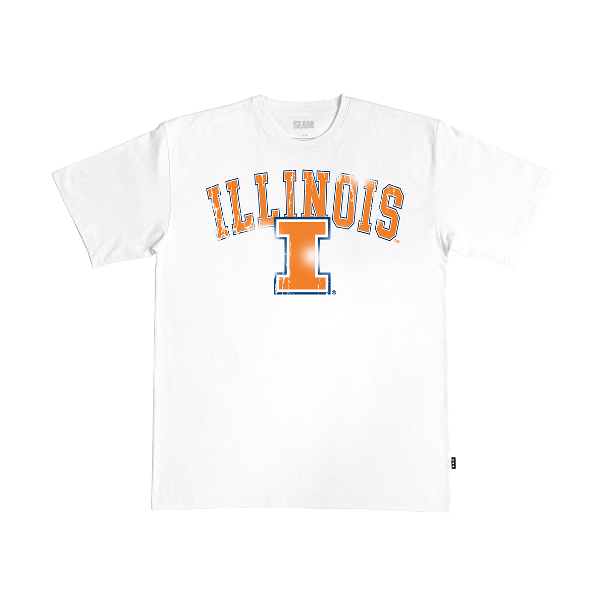 Illinois Big Logo Heavy Tee