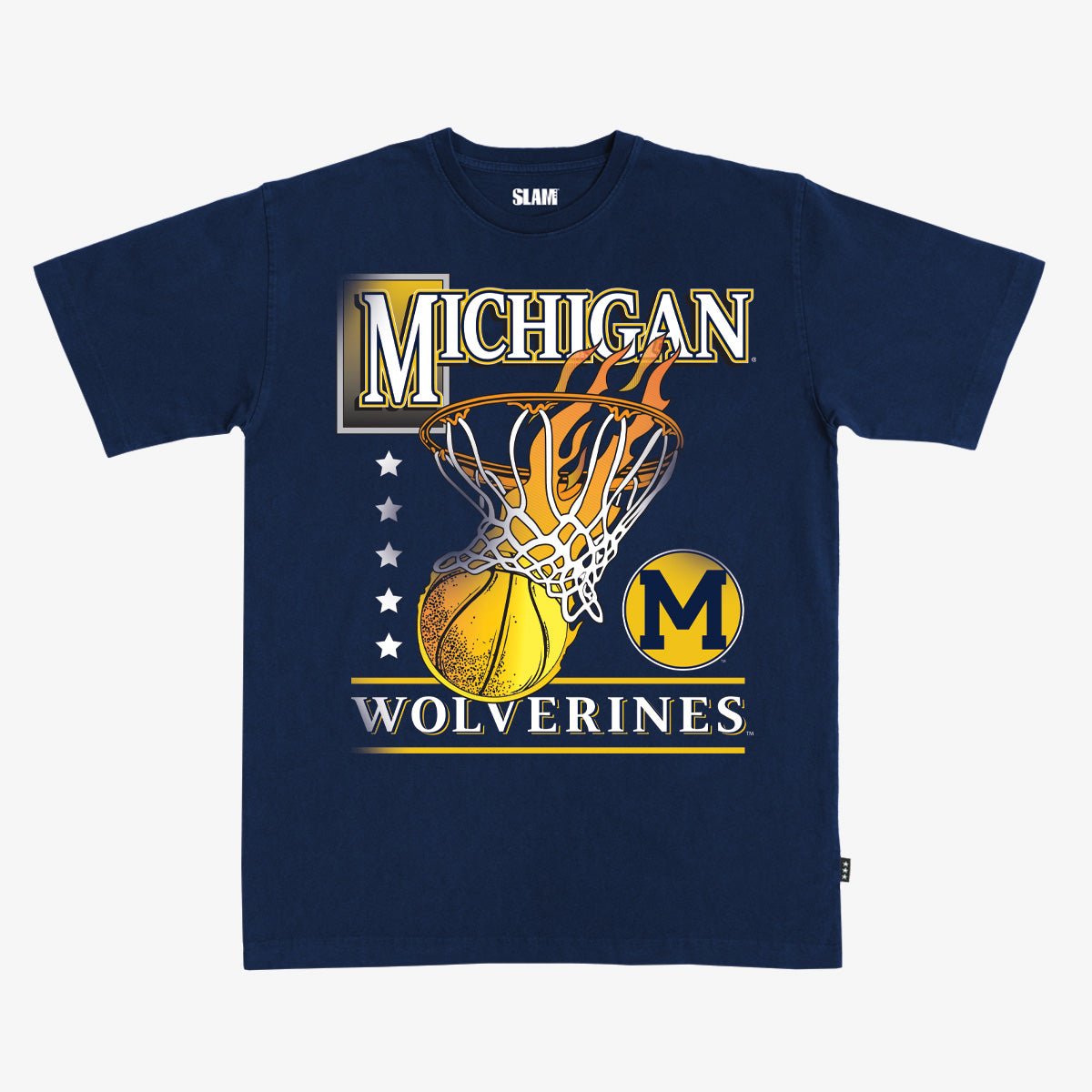 Michigan Hoops Heavy Tee
