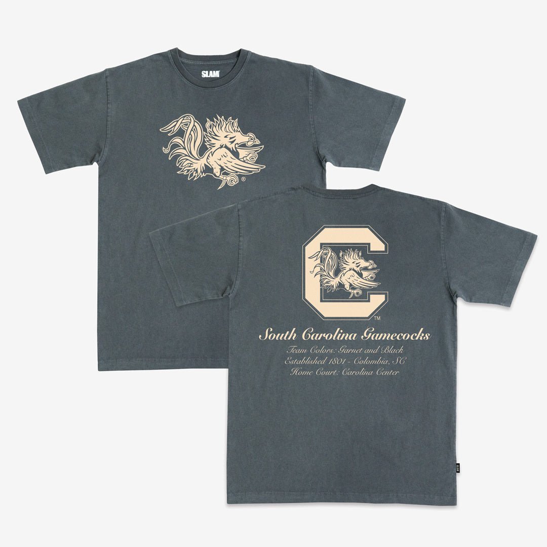 South Carolina Monochromatic Heavy Tee