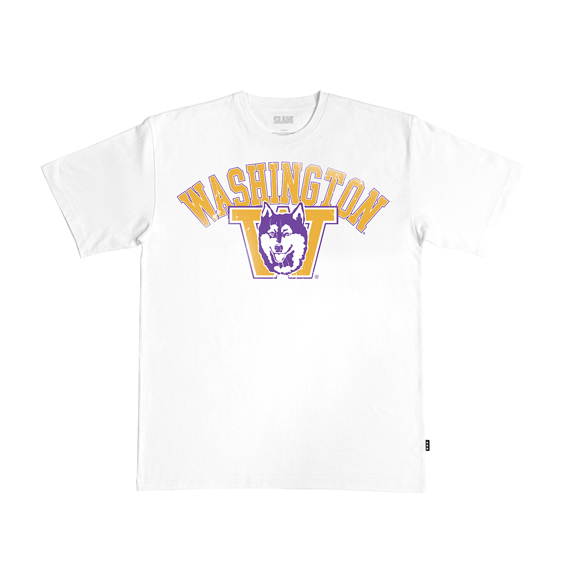 Washington Big Logo Heavy Tee