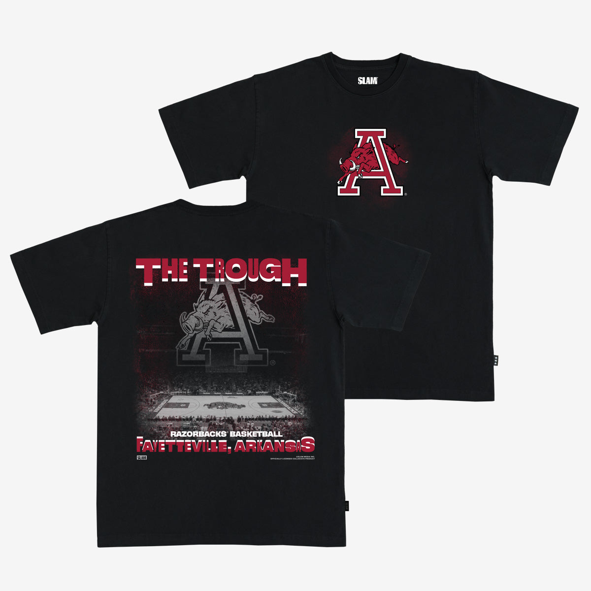 Arkansas Arena Heavy Tee