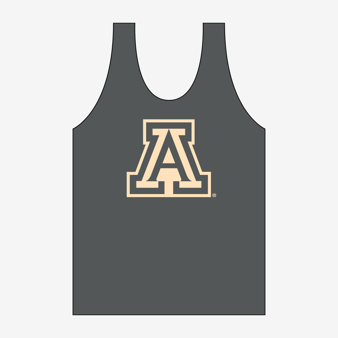 Arizona Monochromatic Jersey