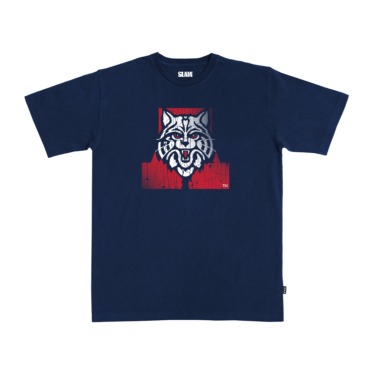 Arizona Logo Heavy Tee