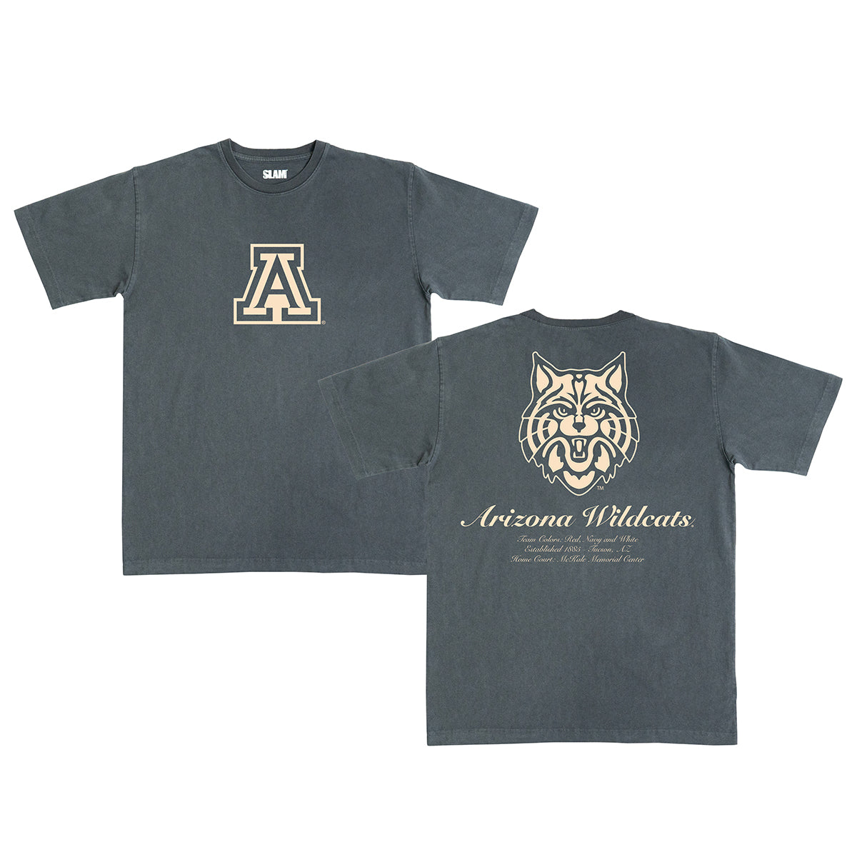 Arizona Monochromatic Heavy Tee