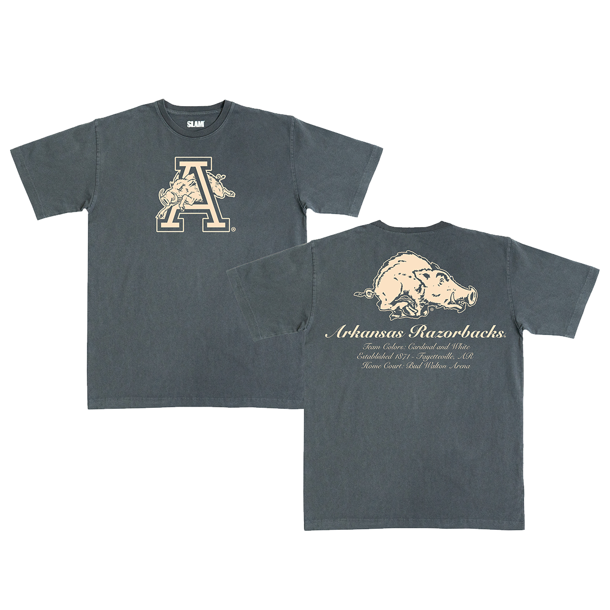 Arkansas Monochromatic Heavy Tee