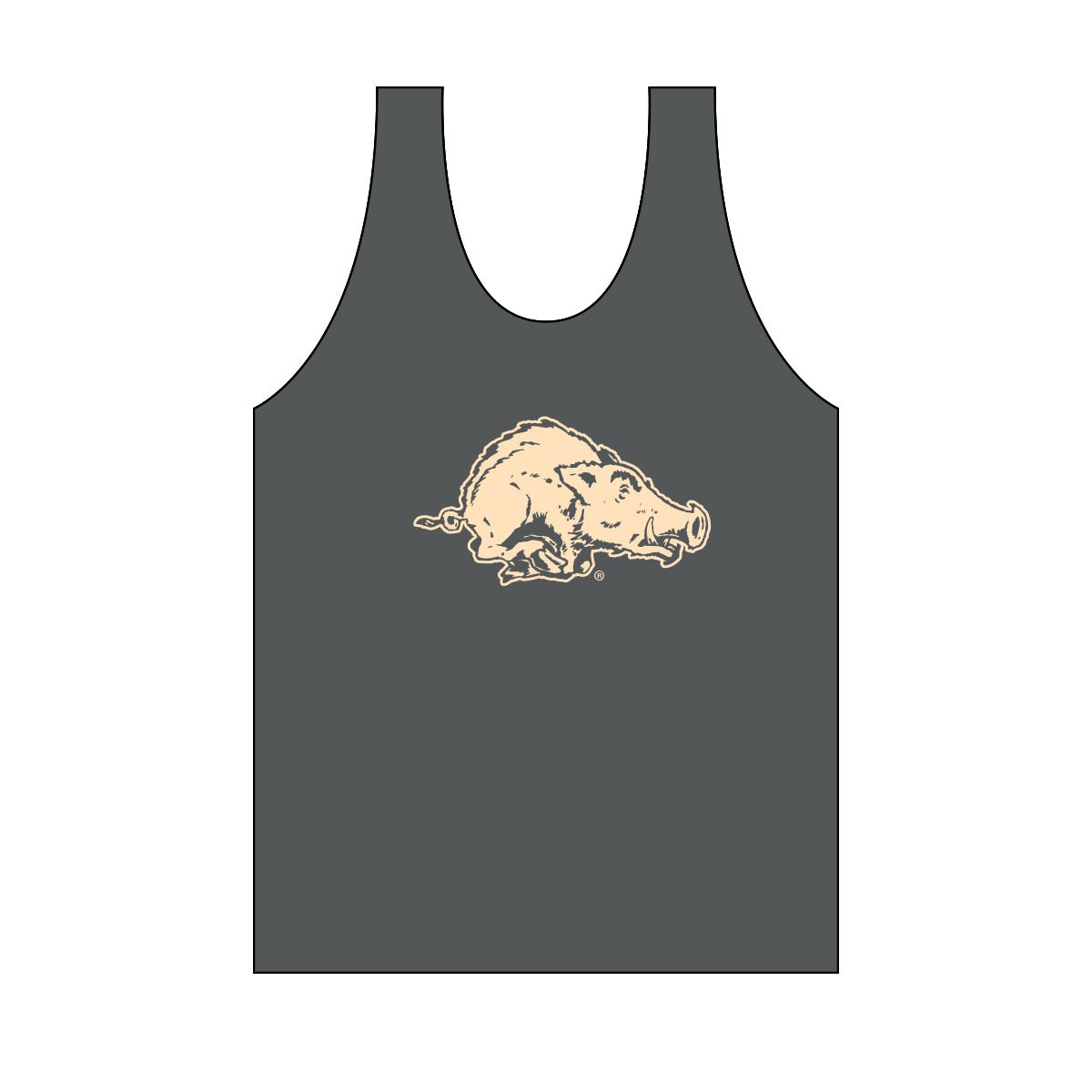 Arkansas Monochromatic Jersey