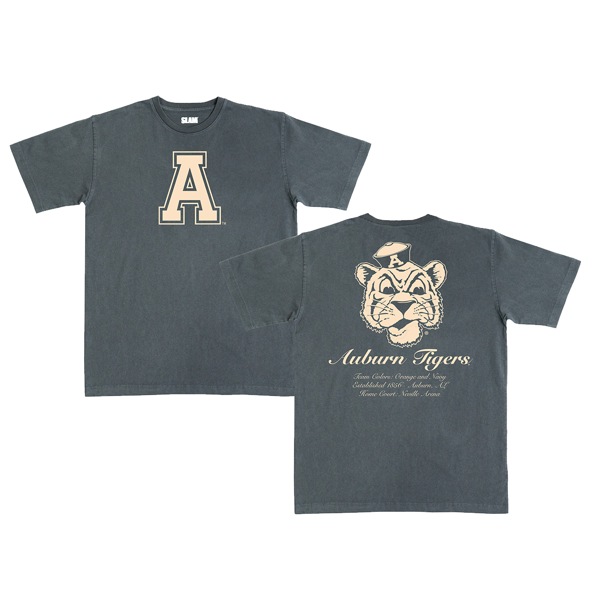 Auburn Monochromatic Heavy Tee