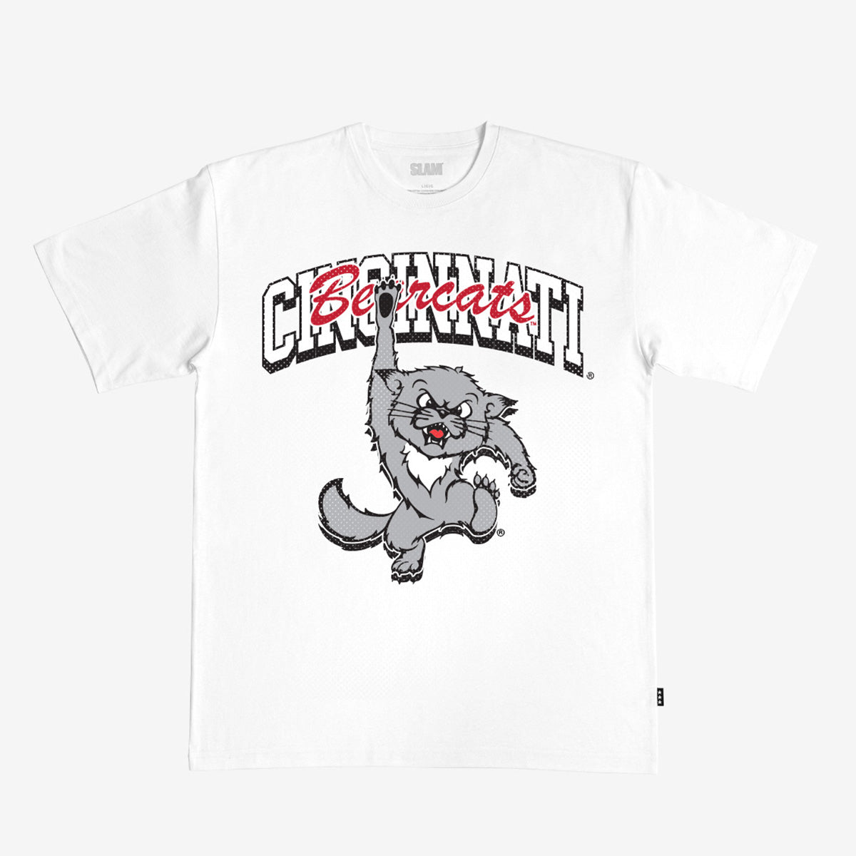 Cincinnati Alma Mater Heavy Tee