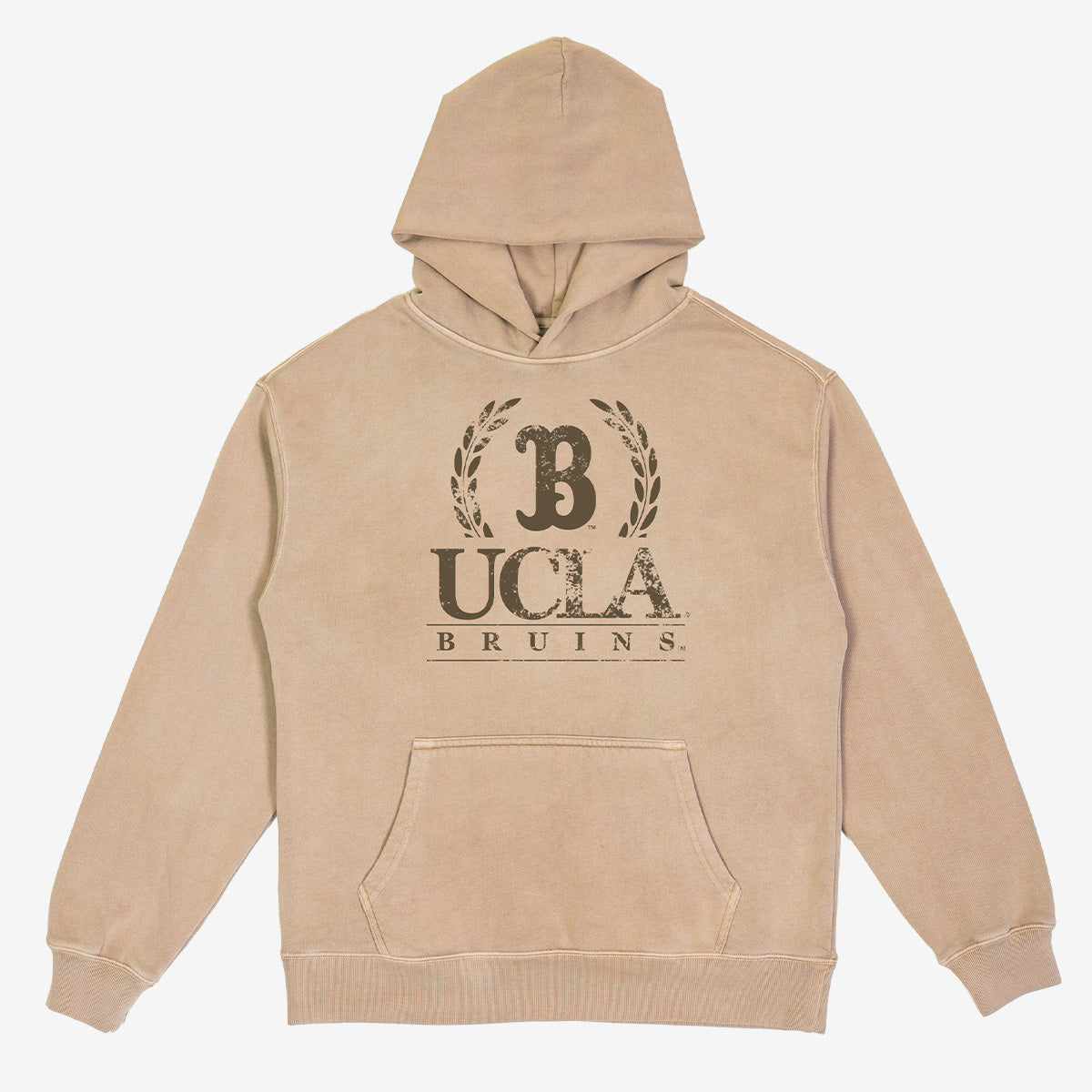 UCLA Crest Washed Hoodie