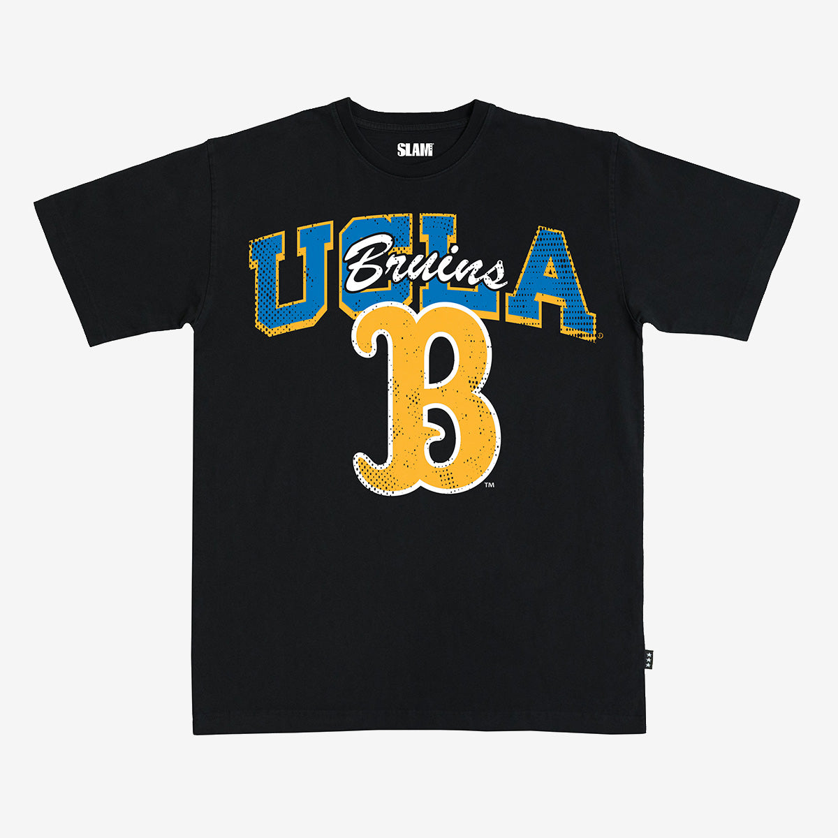 UCLA Alma Mater Heavy Tee