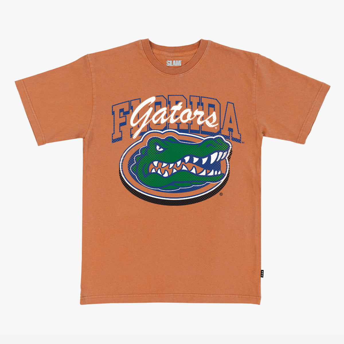 Florida Alma Mater Heavy Tee