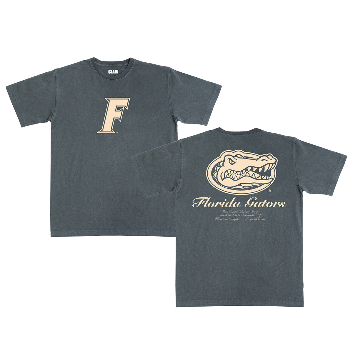 Florida Monochromatic Heavy Tee