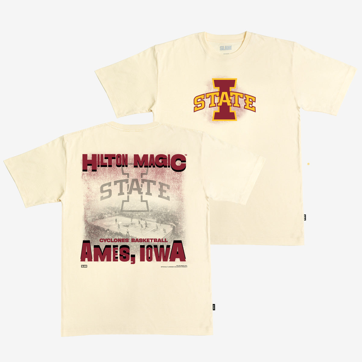 Iowa State Arena Heavy Tee