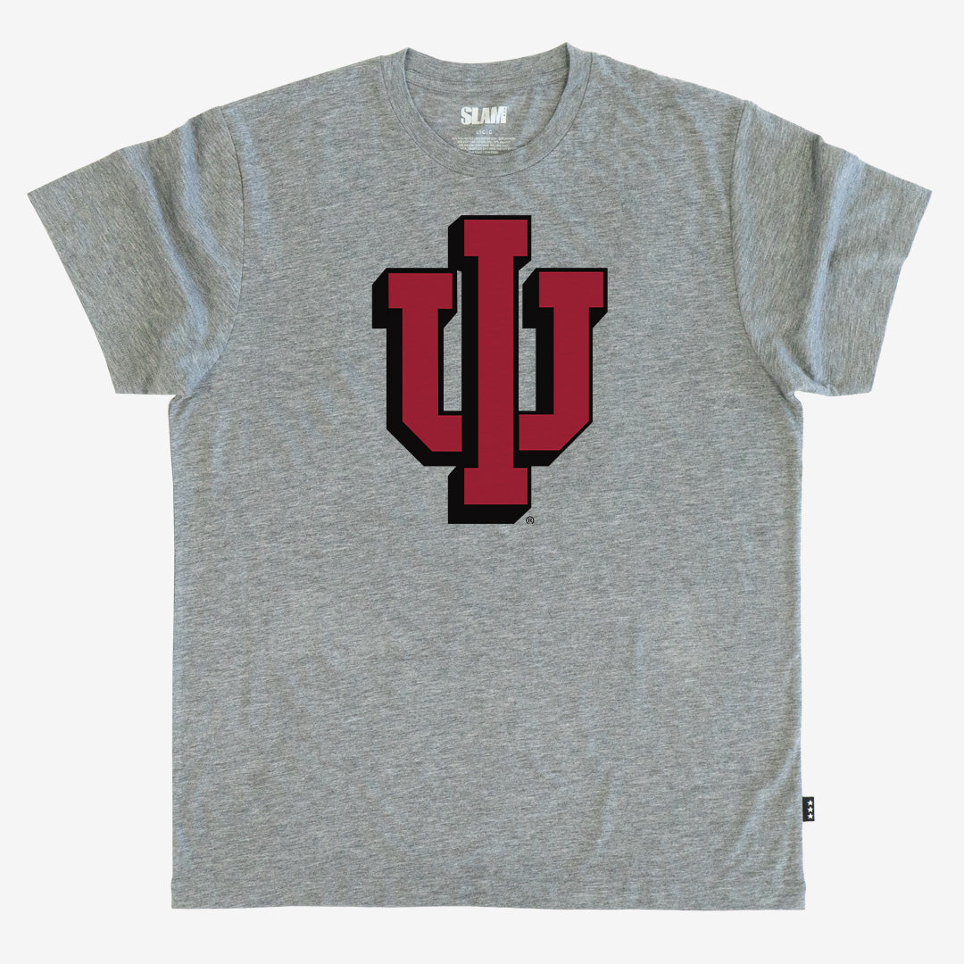 IU Drop Shadow Vintage Tee