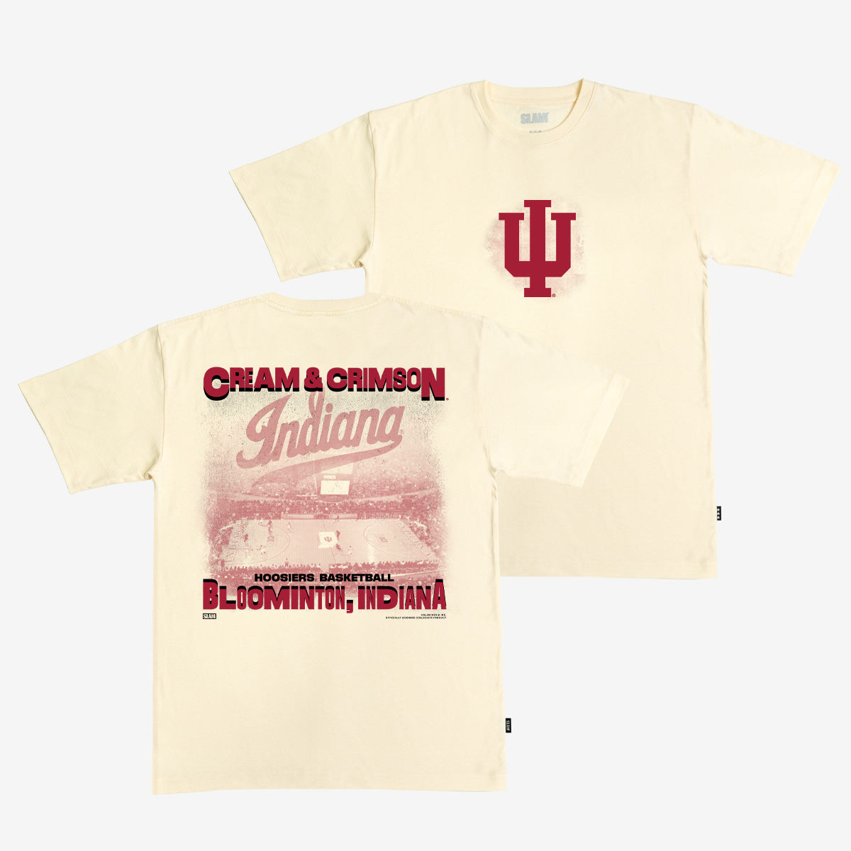 Indiana Arena Heavy Tee