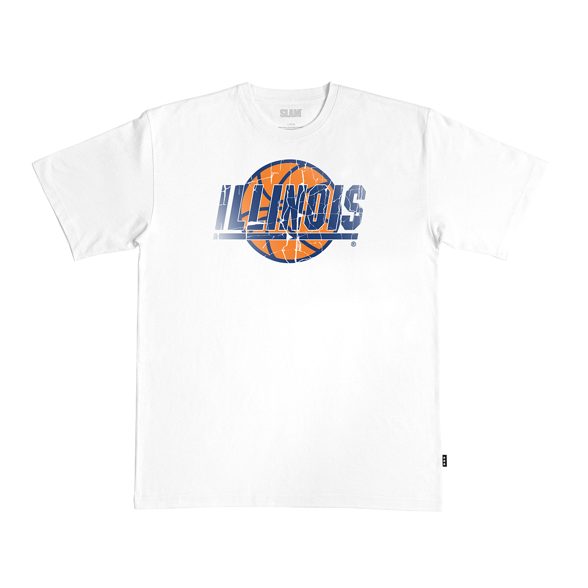 Illinois Logo Heavy Tee