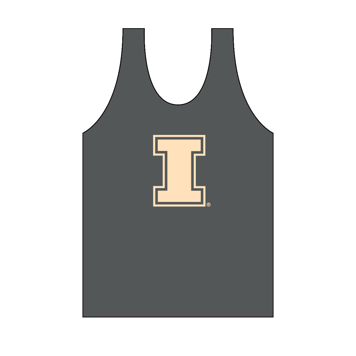 Illinois Monochromatic Jersey