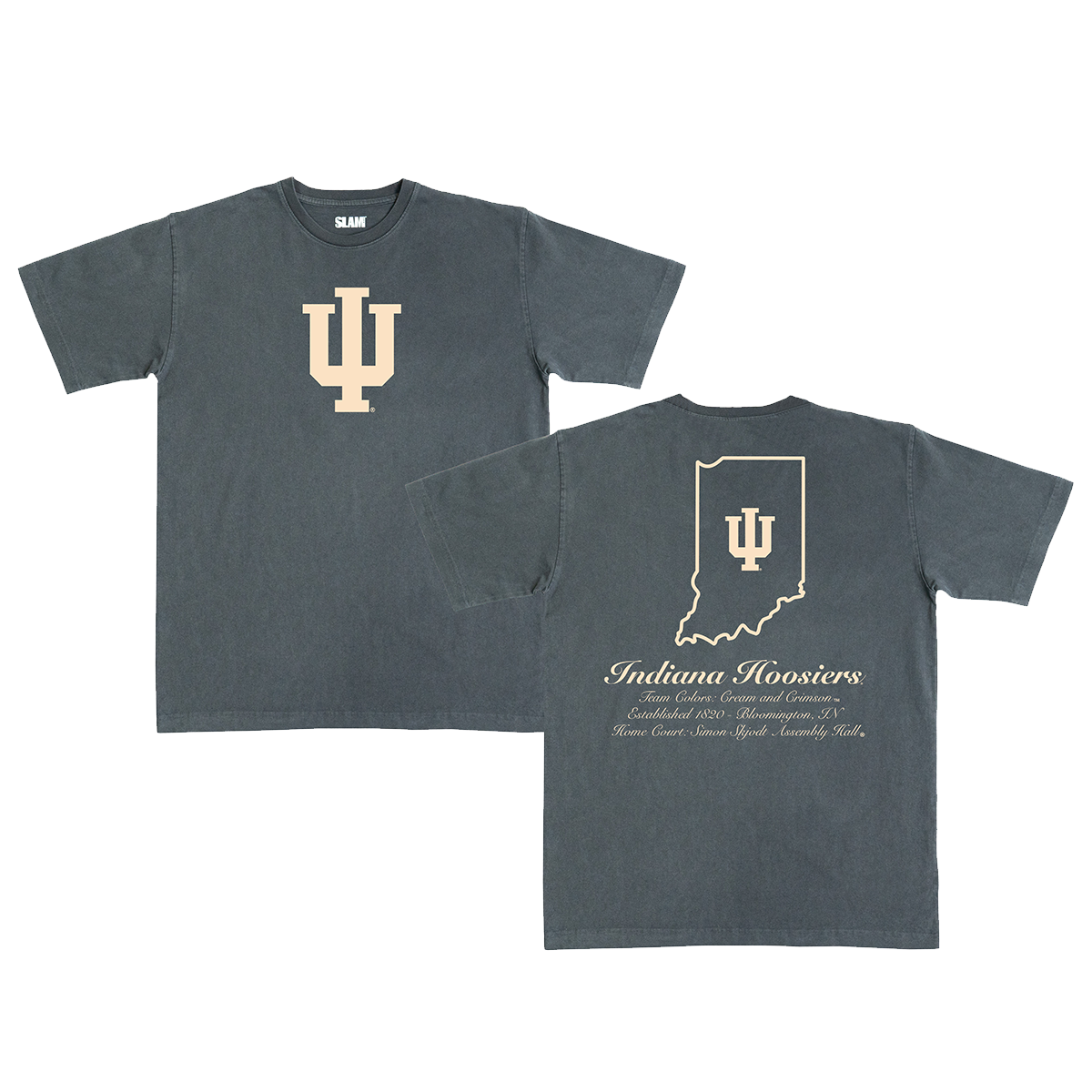 Indiana Monochromatic Heavy Tee