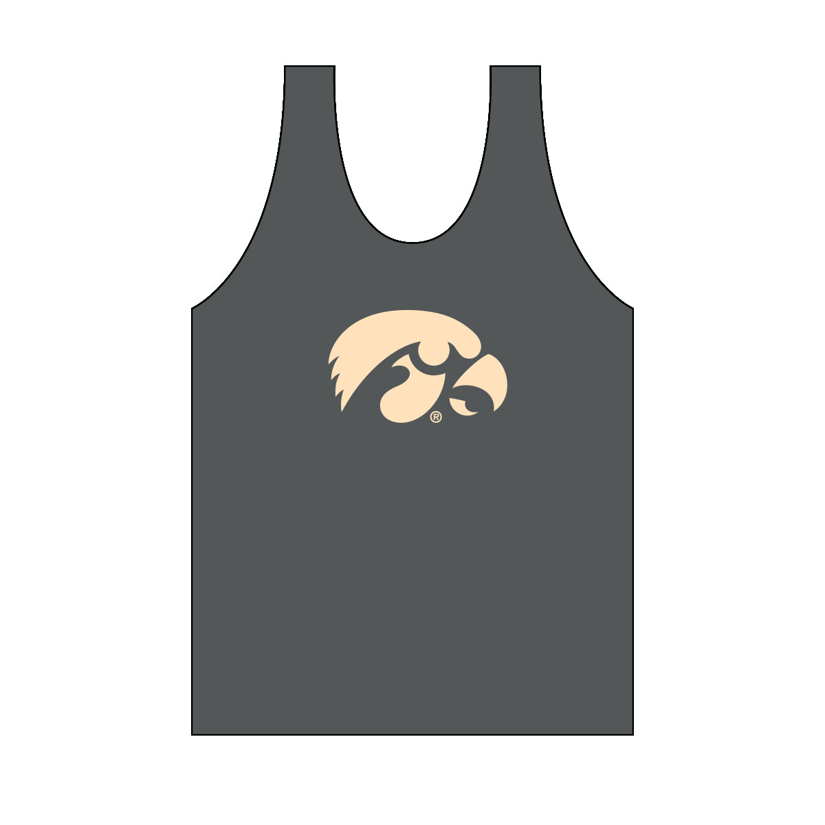 Iowa Monochromatic Jersey