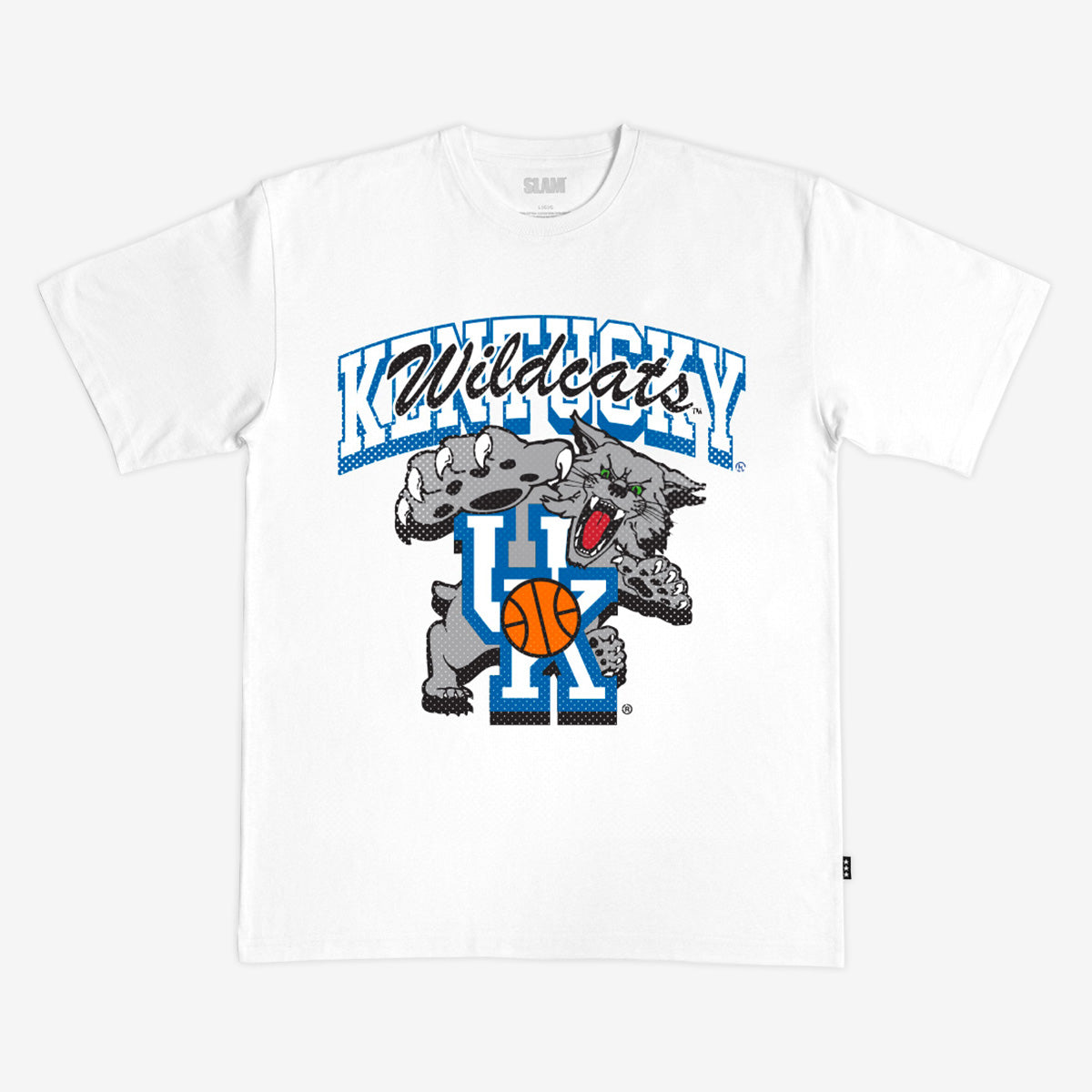 Kentucky Alma Mater Heavy Tee