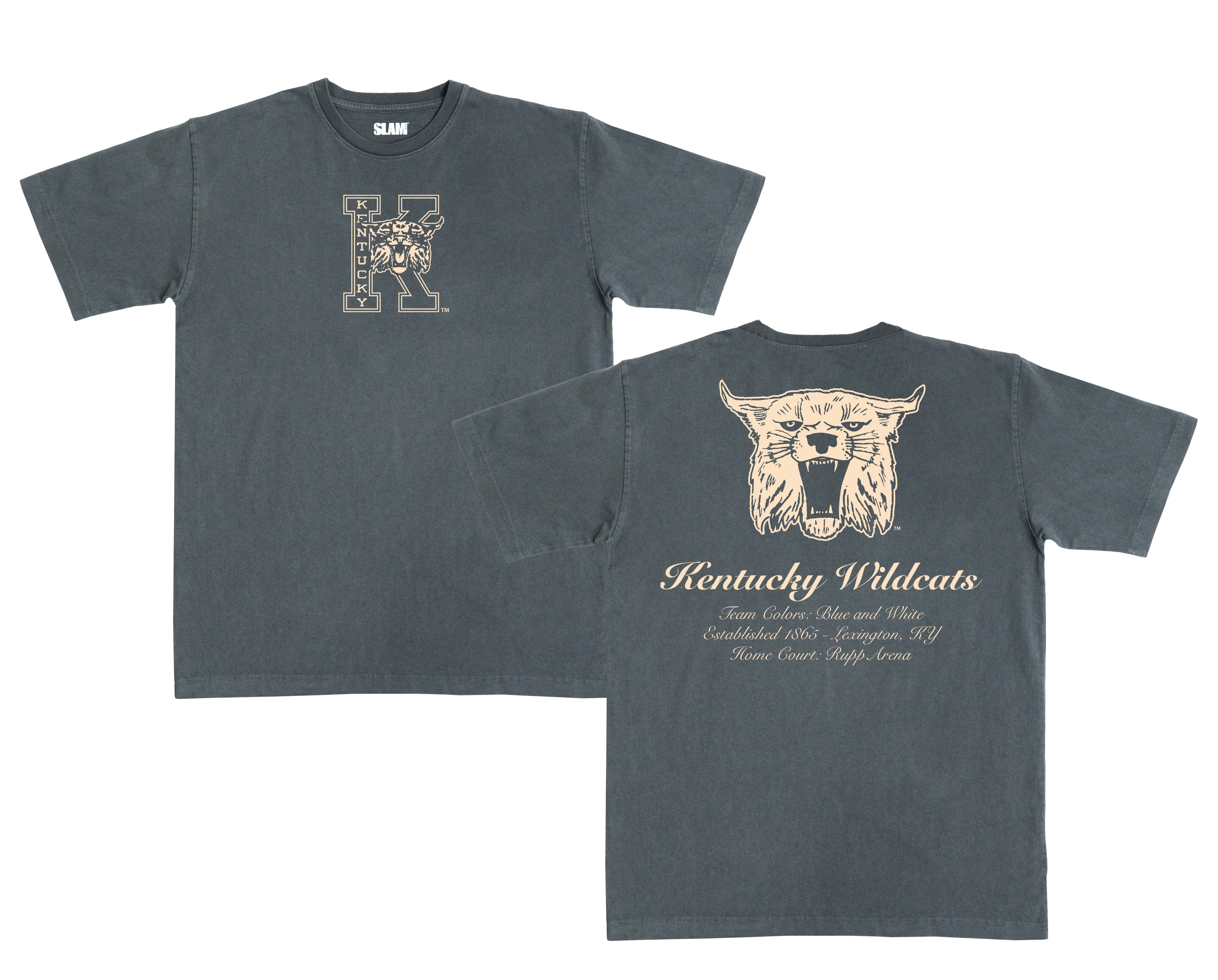 Kentucky Monochromatic Heavy Tee