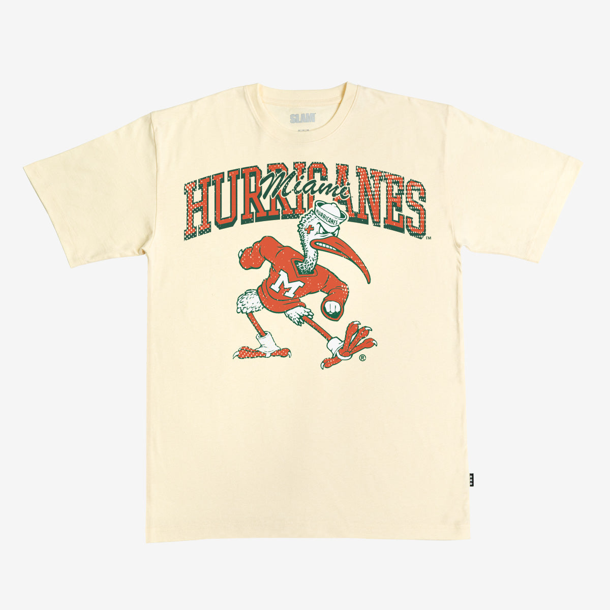 Miami Alma Mater Heavy Tee