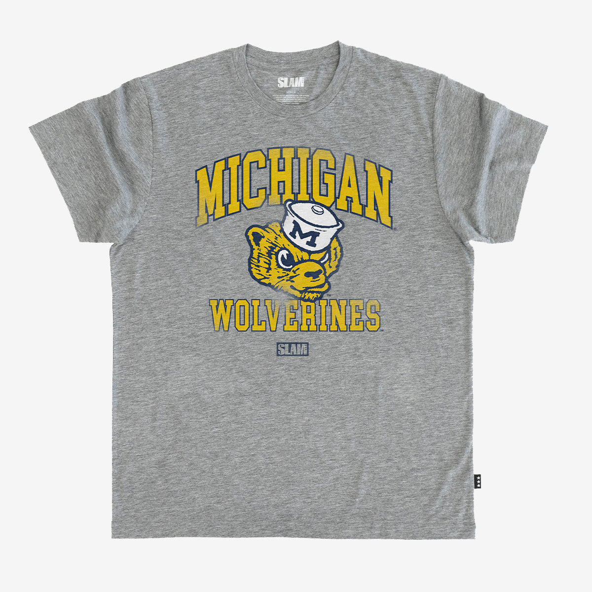 Michigan Campus Heritage Tee