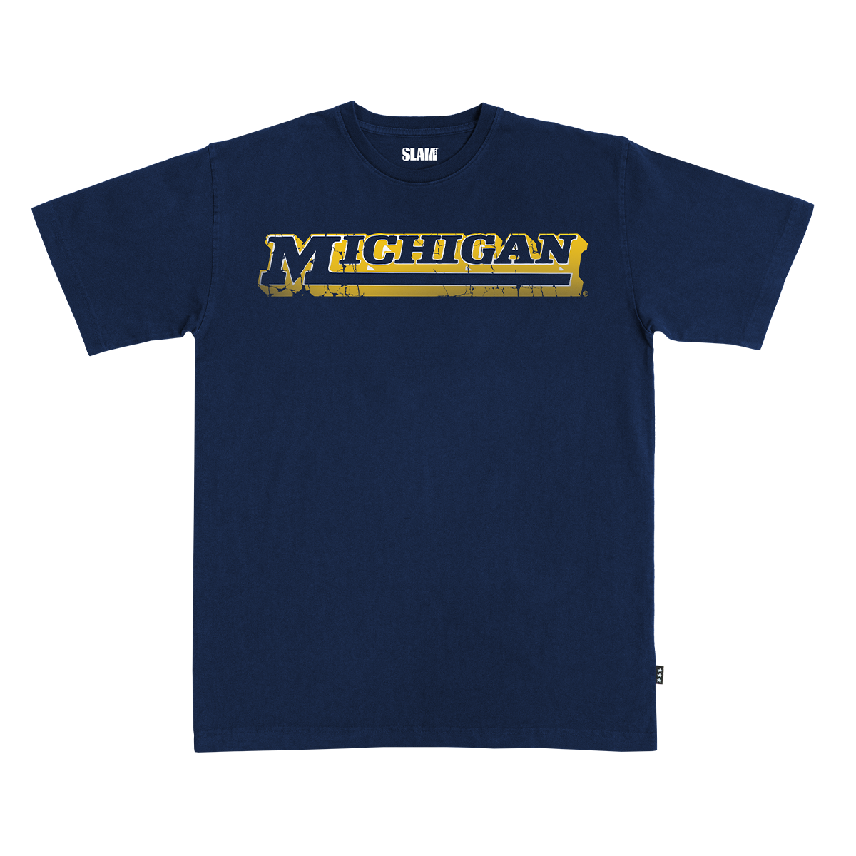 Michigan Logo Heavy Tee
