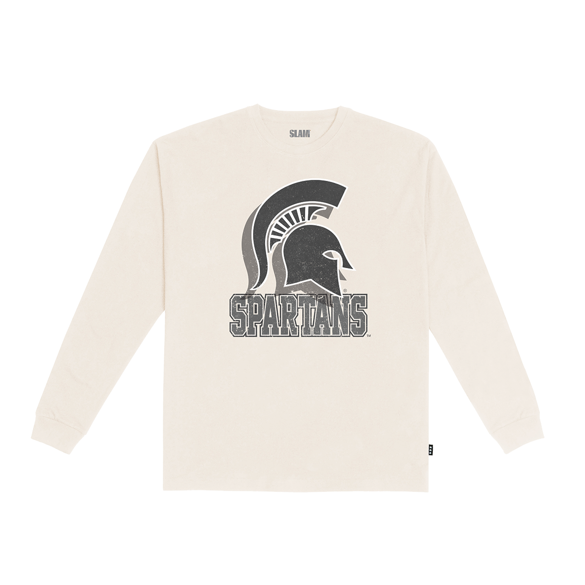 Michigan State Monochromatic L/S Tee