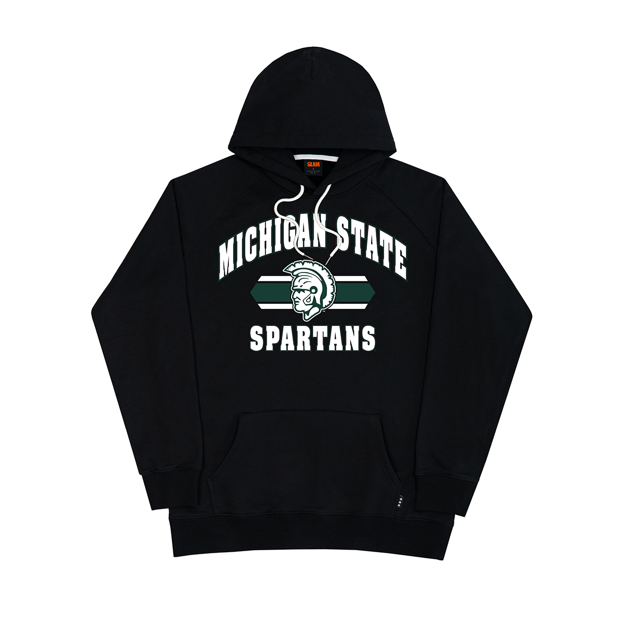 Michigan State Logo Stripe Hoodie