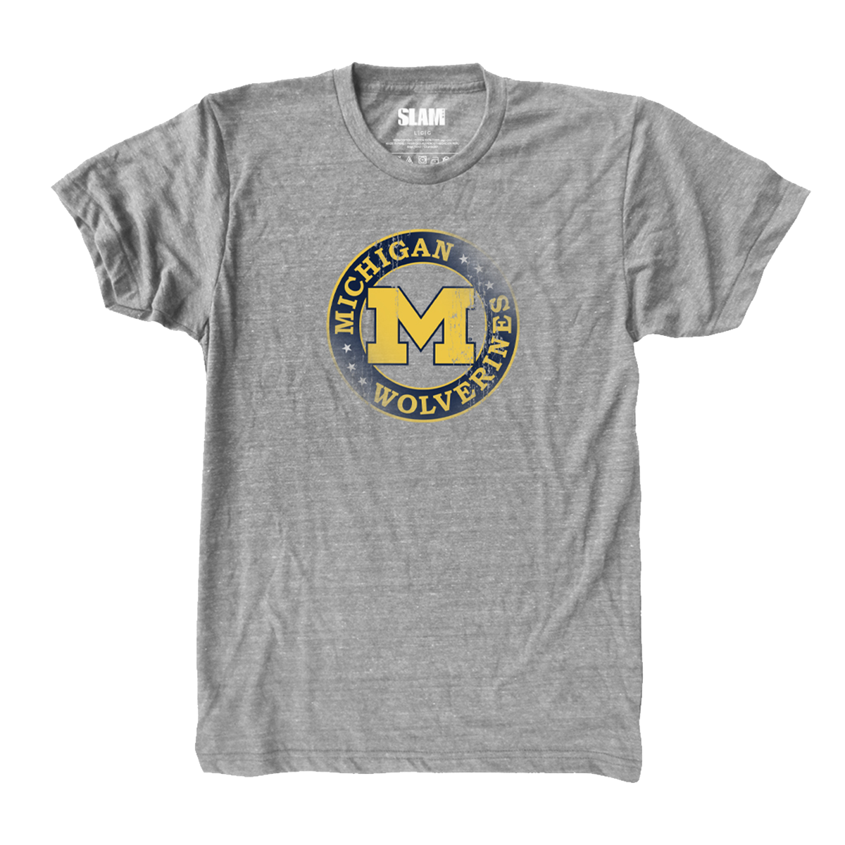Michigan Circle Vintage T