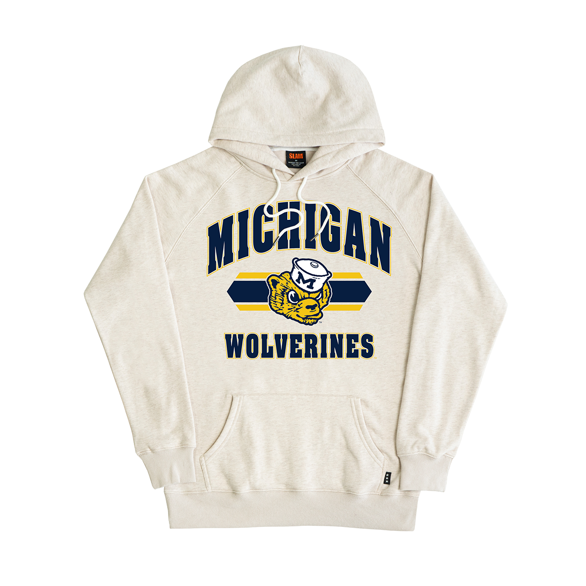 Michigan Logo Stripe Hoodie