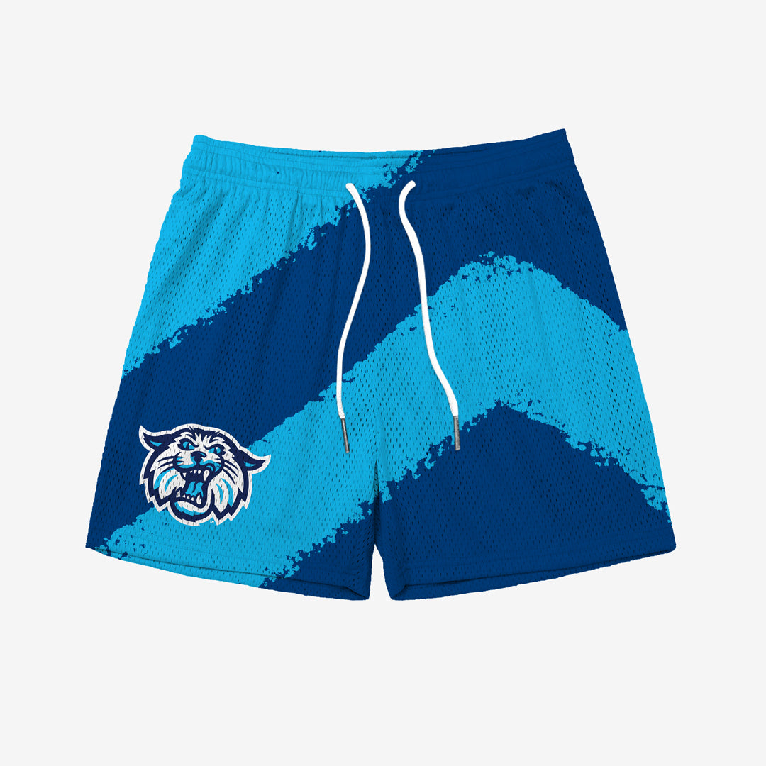 Villanova Big Stripe Fundamental Shorts - Blue/Light Blue