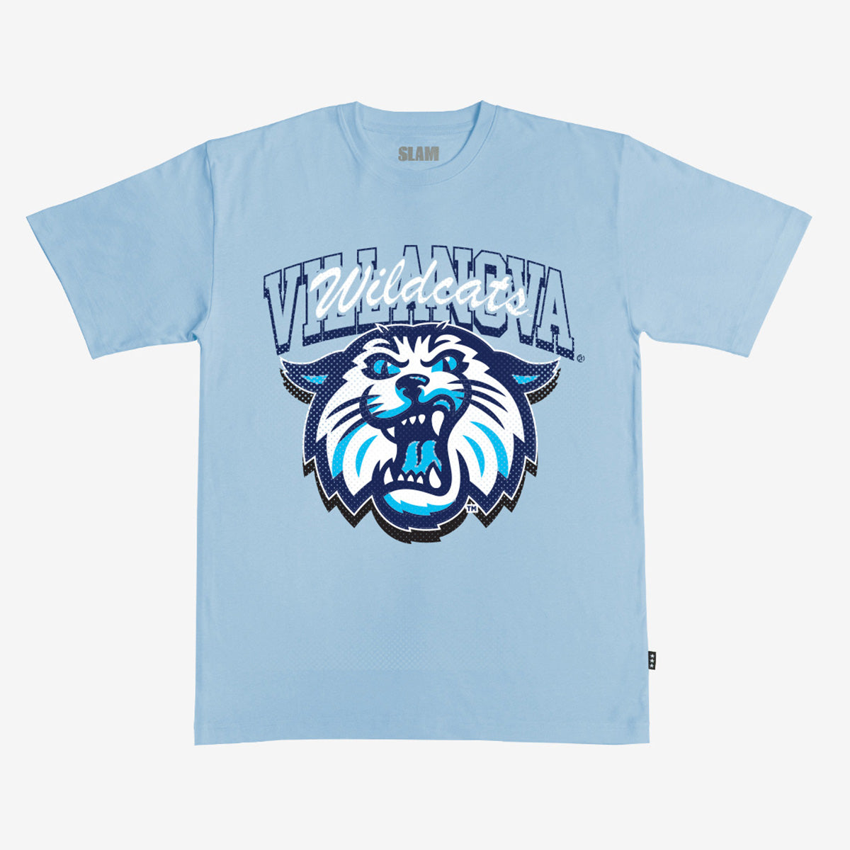 Villanova Alma Mater Heavy Tee