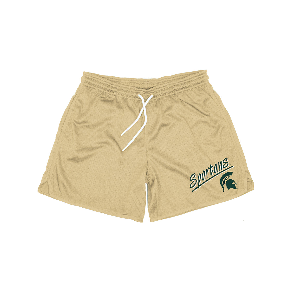 Michigan State Lifestyle Script Shorts